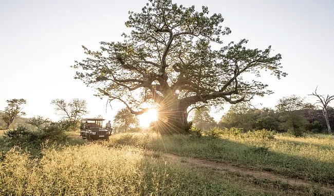 Singita Malilangwe House
