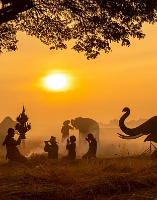Africa
