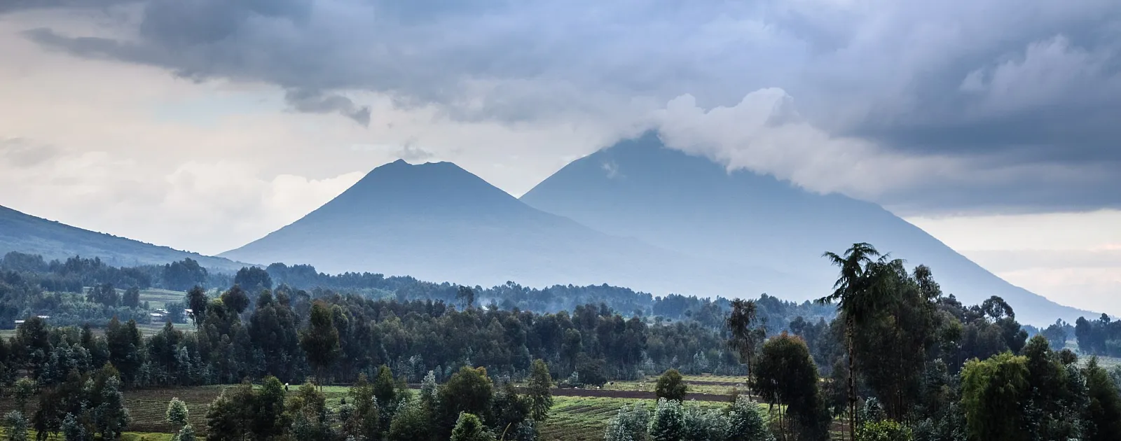 Explore the splendor of Rwanda - Tatis Travel