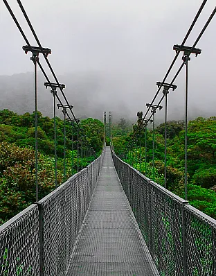 Monteverde Cloud Forest Reserve