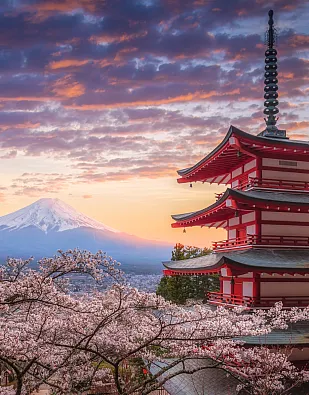 Asia & the Indian Ocean