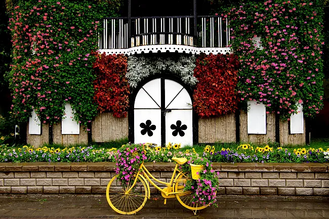 United Arab Emirates