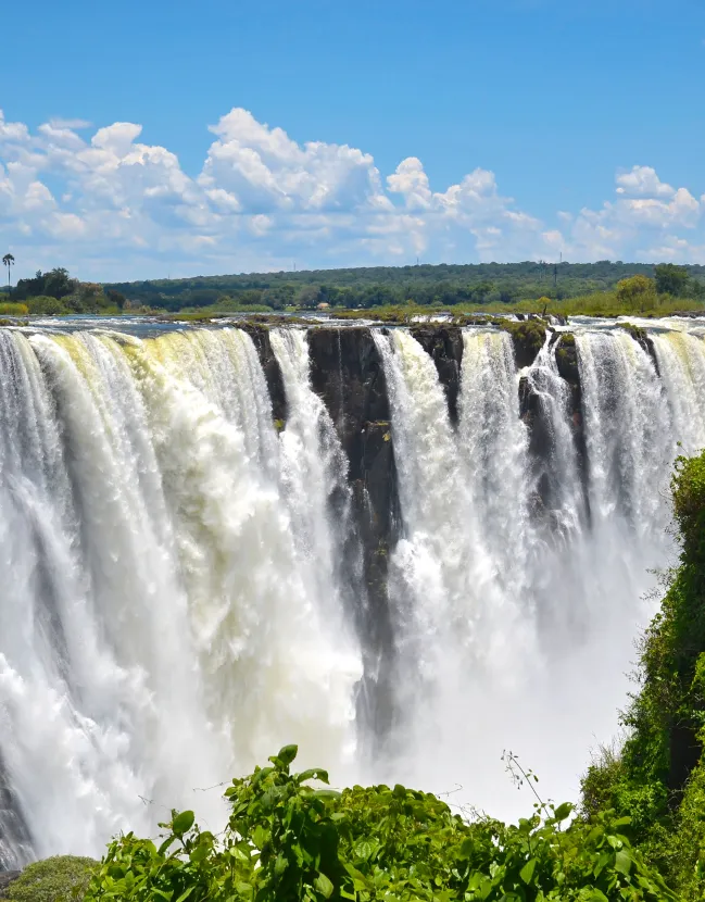 Explore Botswana & Victoria Falls