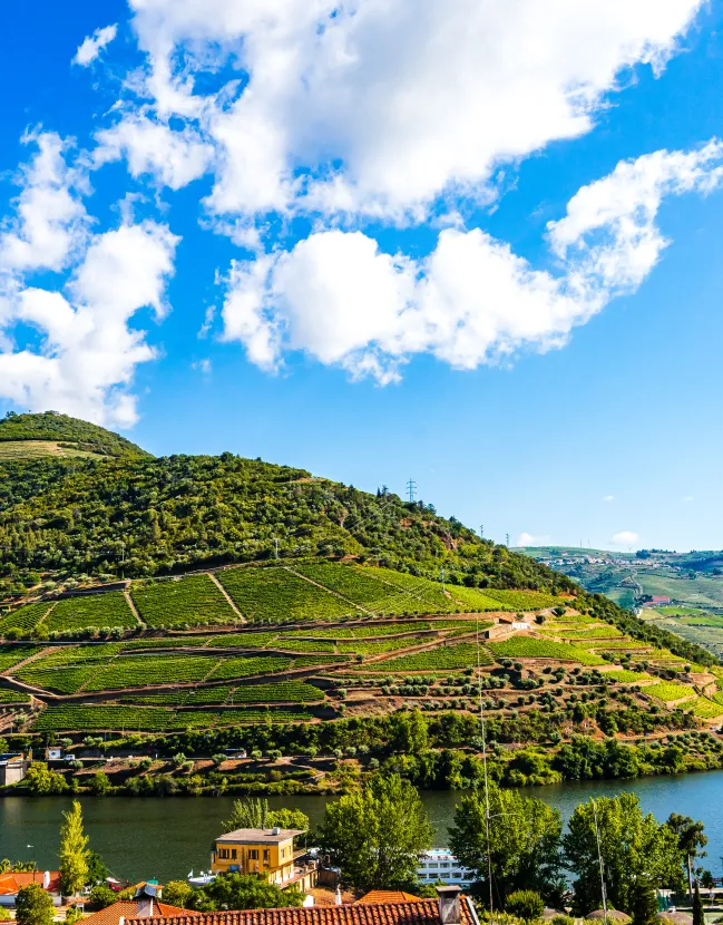 Luxury Culinary Experiences in Portugal