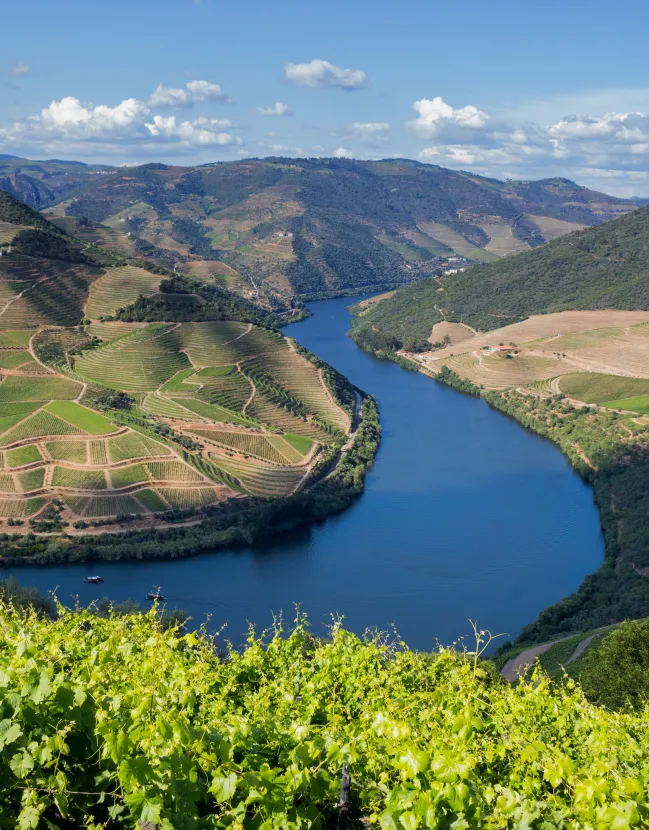 Luxury Culinary Experiences in Portugal