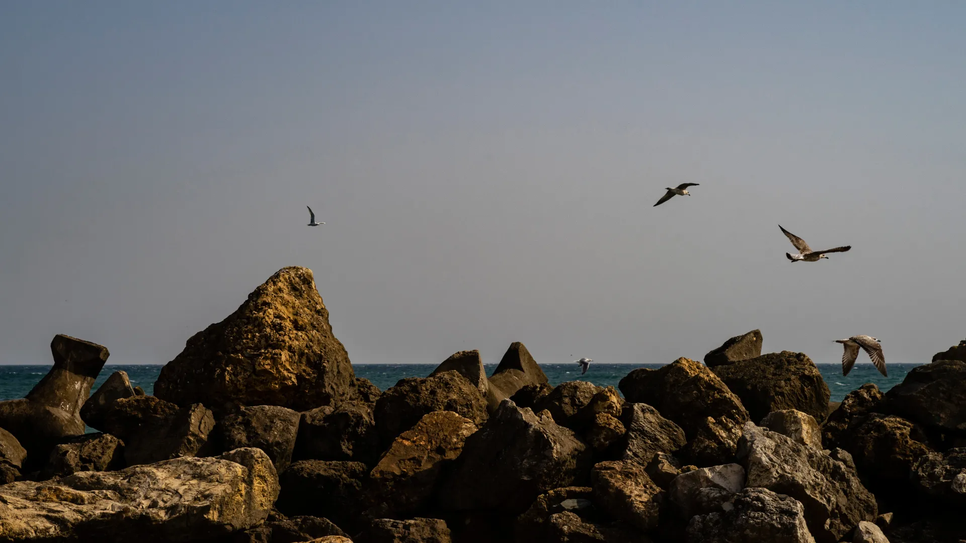Black sea coastal getaway