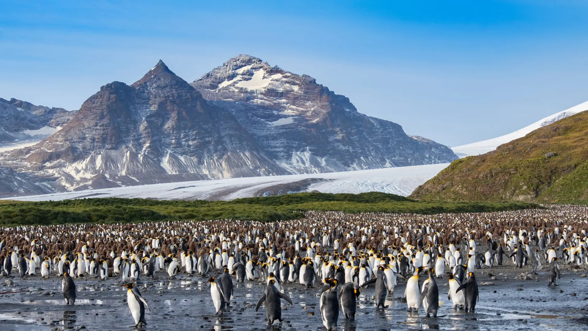 Ultimate antarctica family adventure