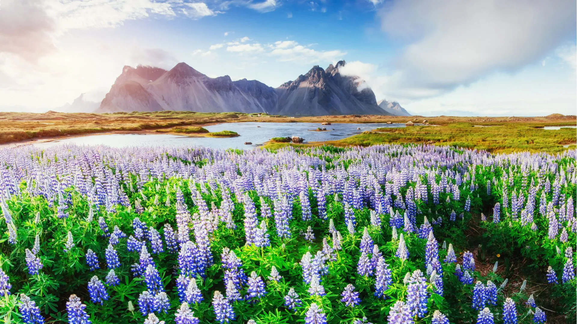 Classic summer iceland - a unique experience
