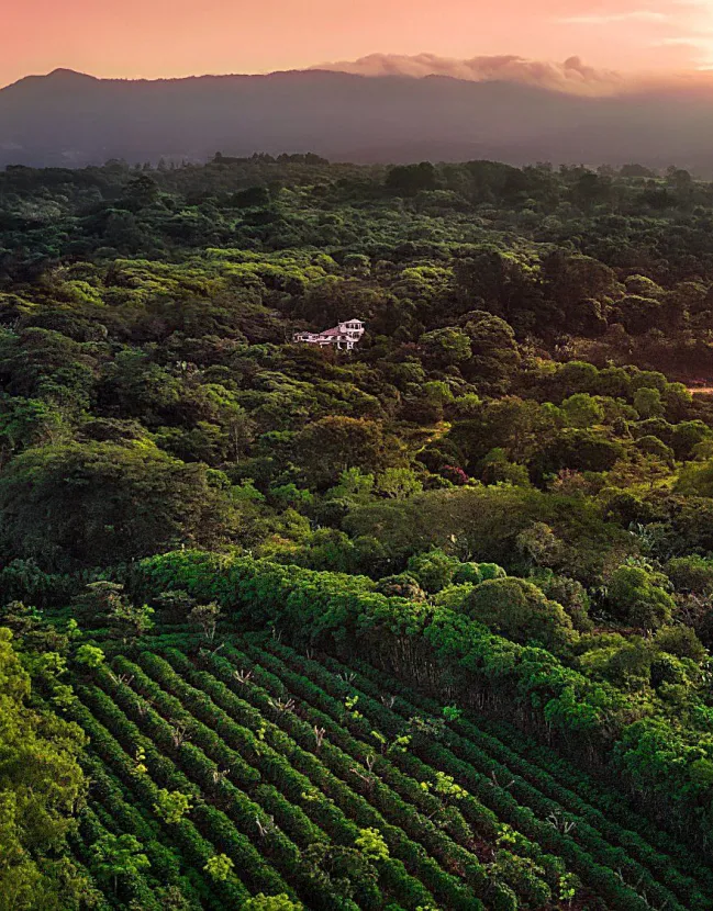 Tropical Family Fun in Costa Rica