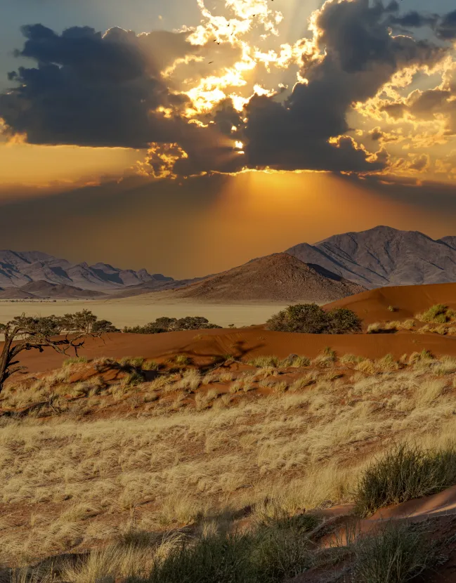 A Tantalizing Namibia and South Africa Adventure