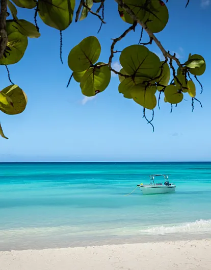 Beach Bumming in Mexico- Sun, Sand, and Sea