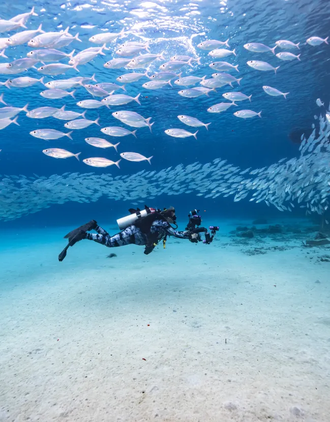 Ultimate Curacao Family Getaway