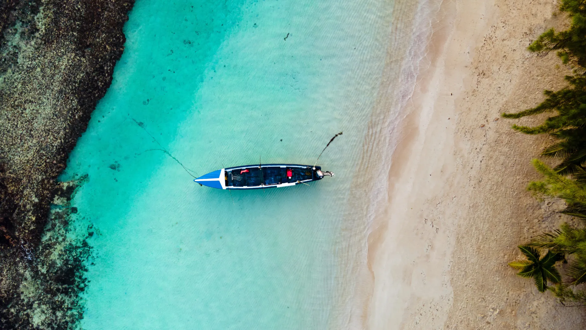 Your ultimate jamaica adventure
