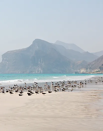 An ideal romantic getaway in Qatar