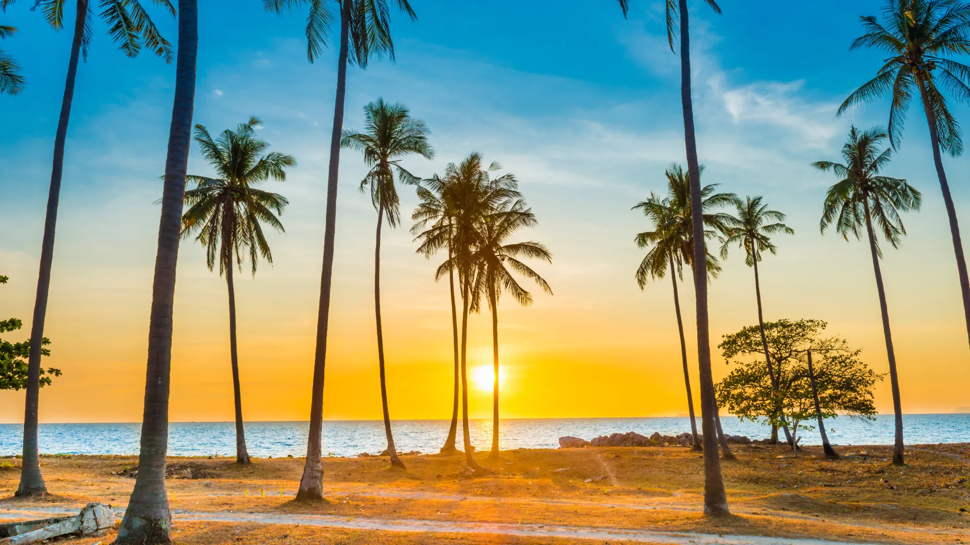 A journey of two hearts - honeymoon in hawaii