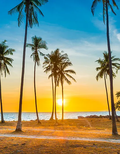 A Journey of Two Hearts - Honeymoon in Hawaii