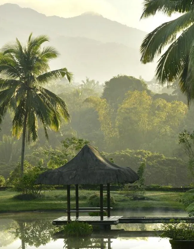 Mind-Body Healing Getaway in the Philippines