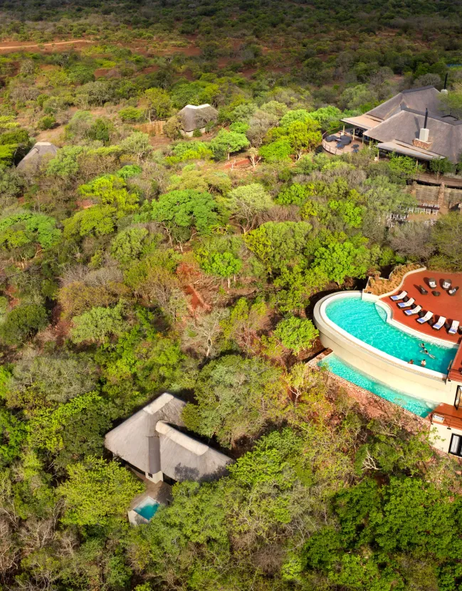 Safari & Wine in South Africa