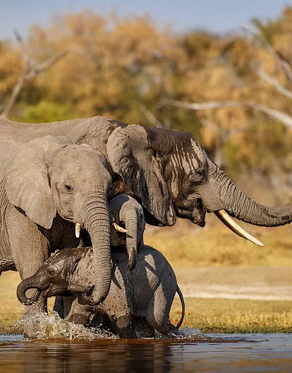 The ultimate family adventure in South Africa