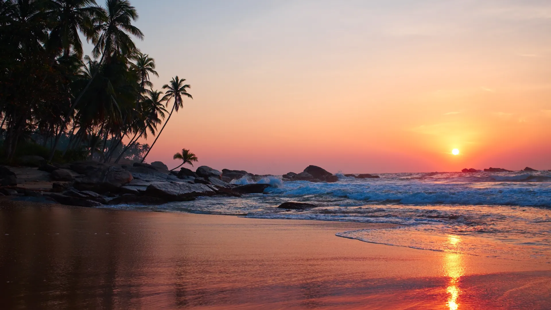 Safari, beach and culture in india