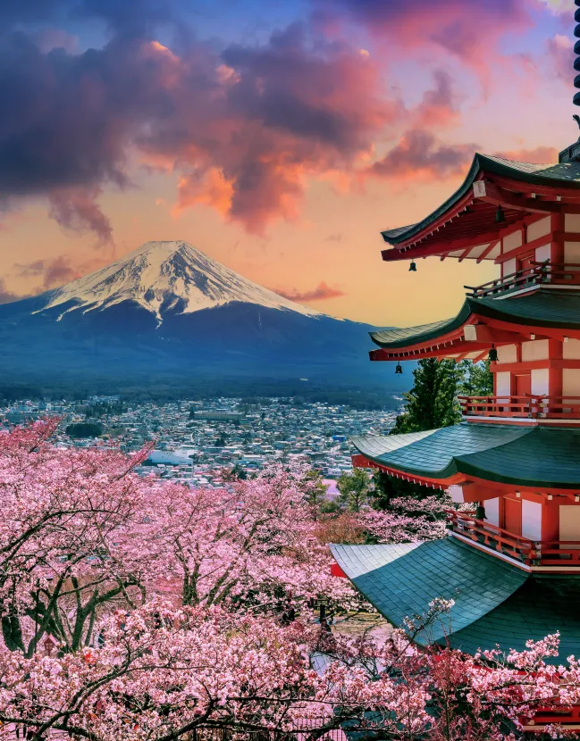 An exclusive and luxurious trip through Japan