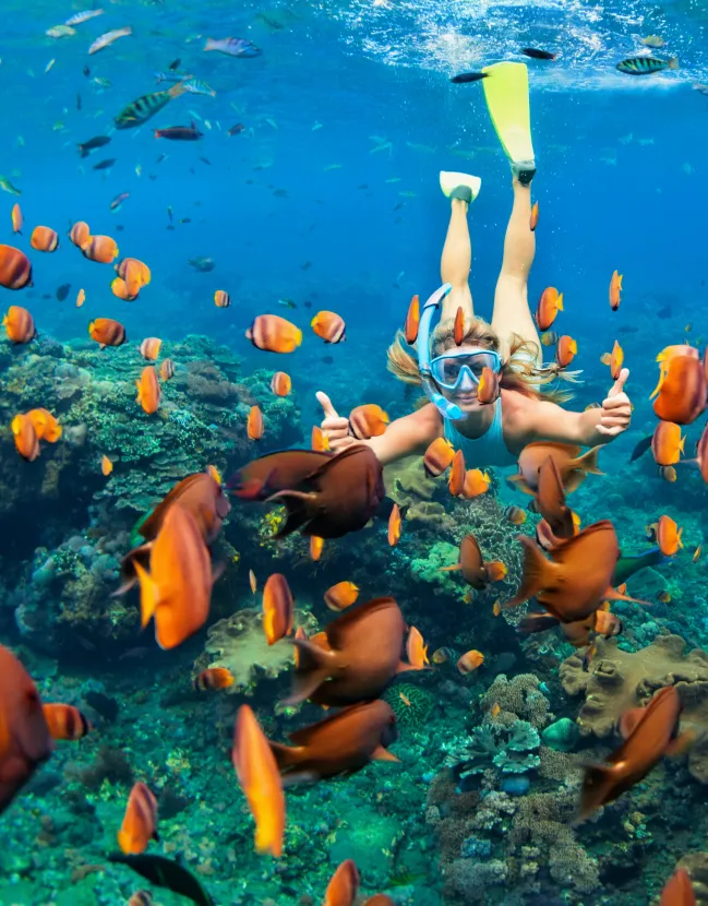 An exclusive and luxurious trip to the Maldives