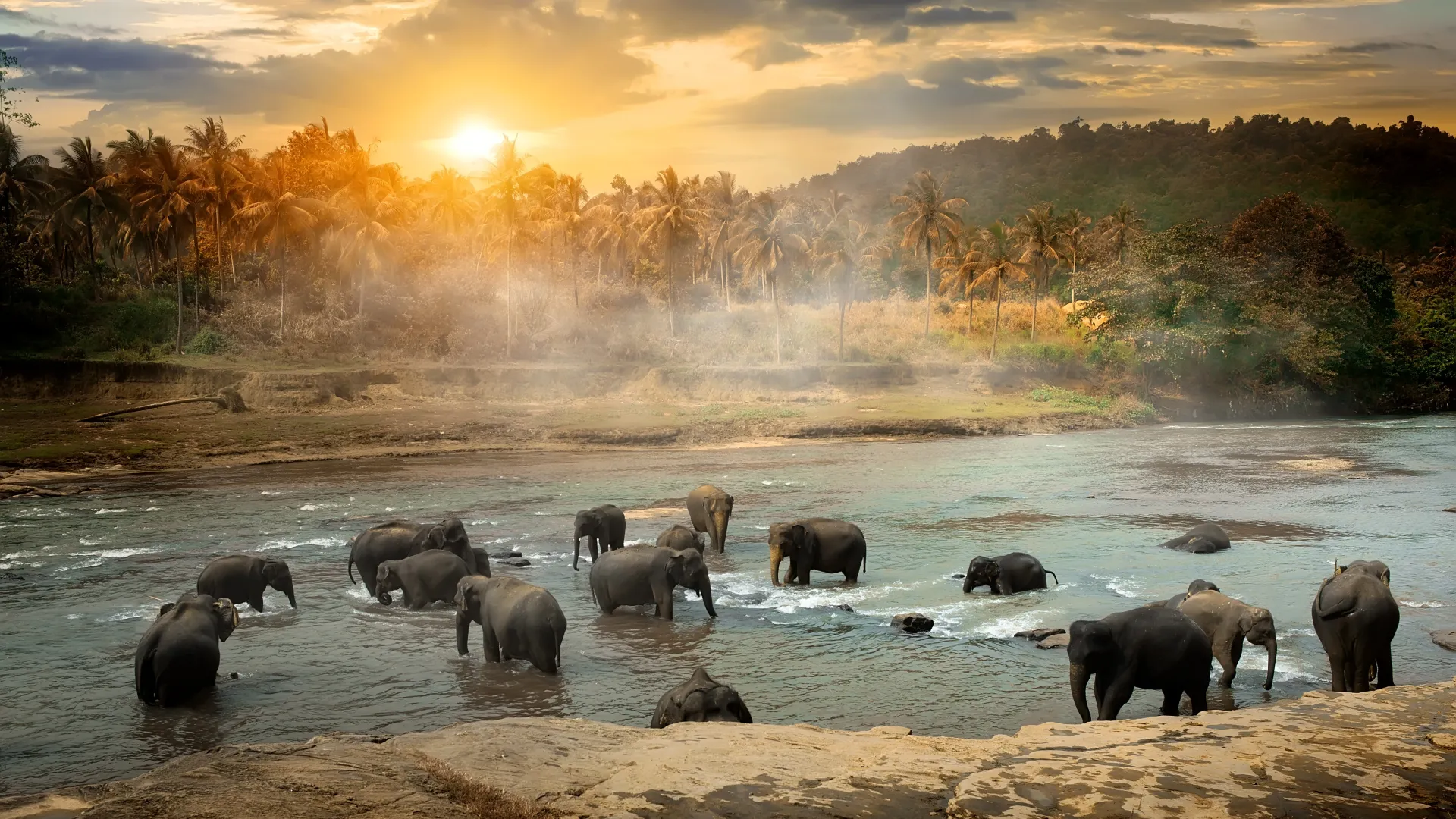 A memorable family trip to sri lanka
