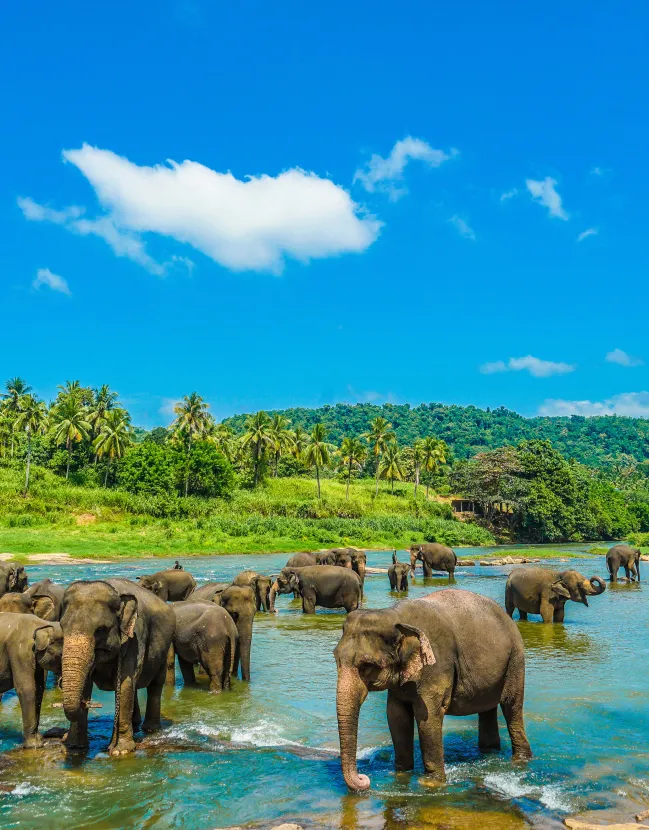 Relaxing Beach Getaways in Sri Lanka