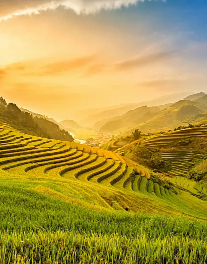 Tasting Vietnam - A Culinary Journey 