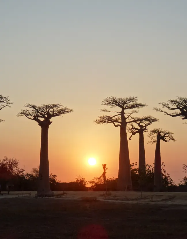A Tantalizing Madagascar Adventure